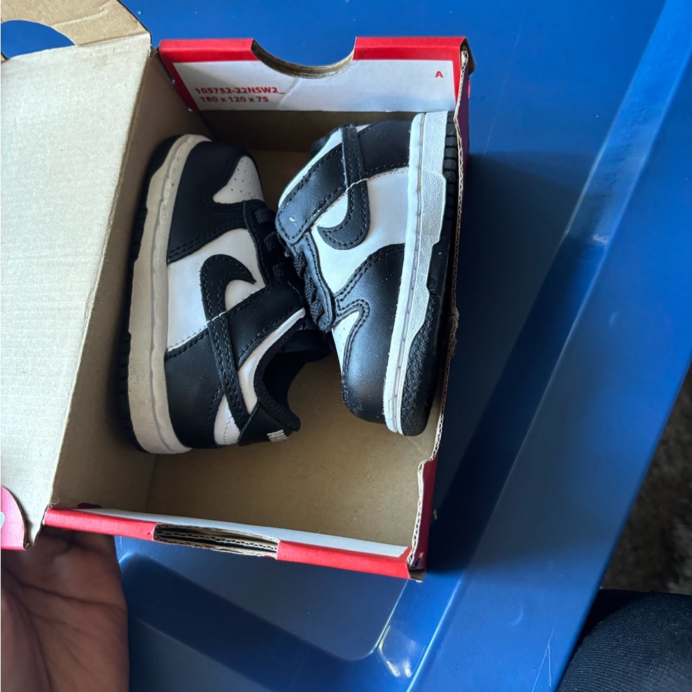 Nike Panda Dunk black and White with Box